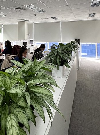 01_corporativo cortinas roller cortinas cortinas enrollables