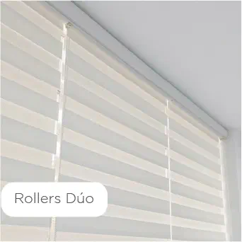 03-lavado-limpieza-mantenimiento-rollers-duo-zebra.jpg